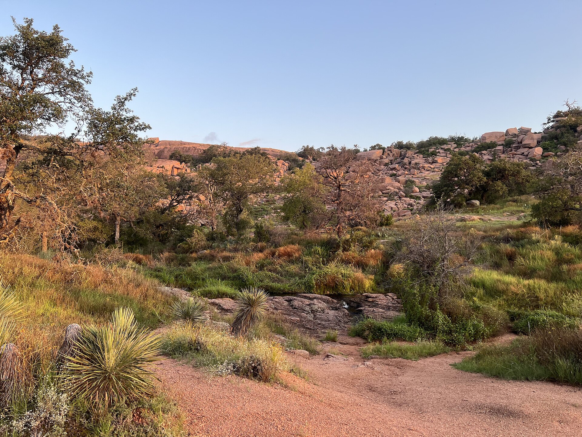 Granite domes and Hill Country brush along a trail at Enchanted Rock State Natural Area, Texas