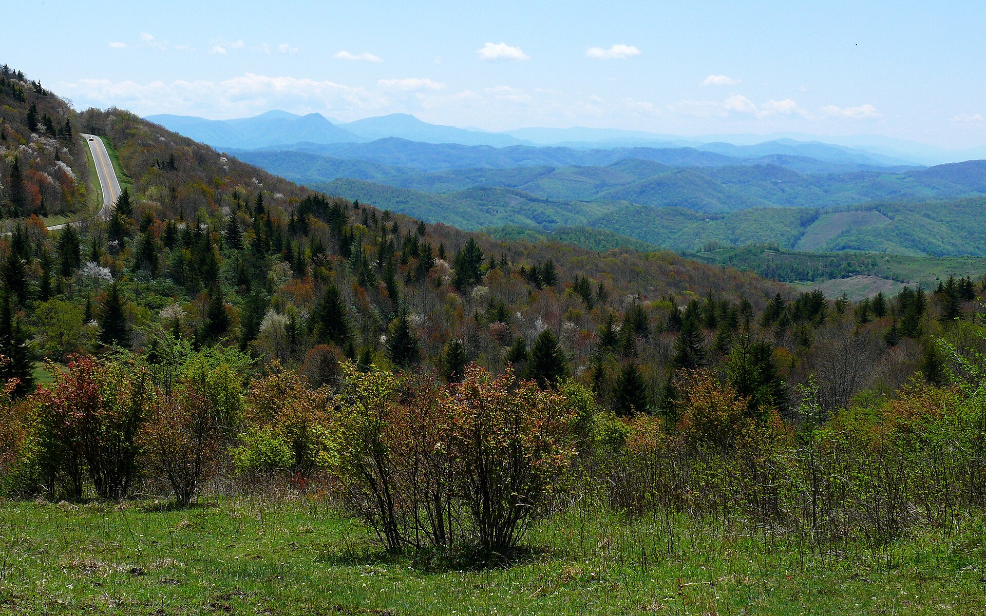 Rolling meadows and Blue Ridge views at Grayson Highlands State Park in Southwest Virginia