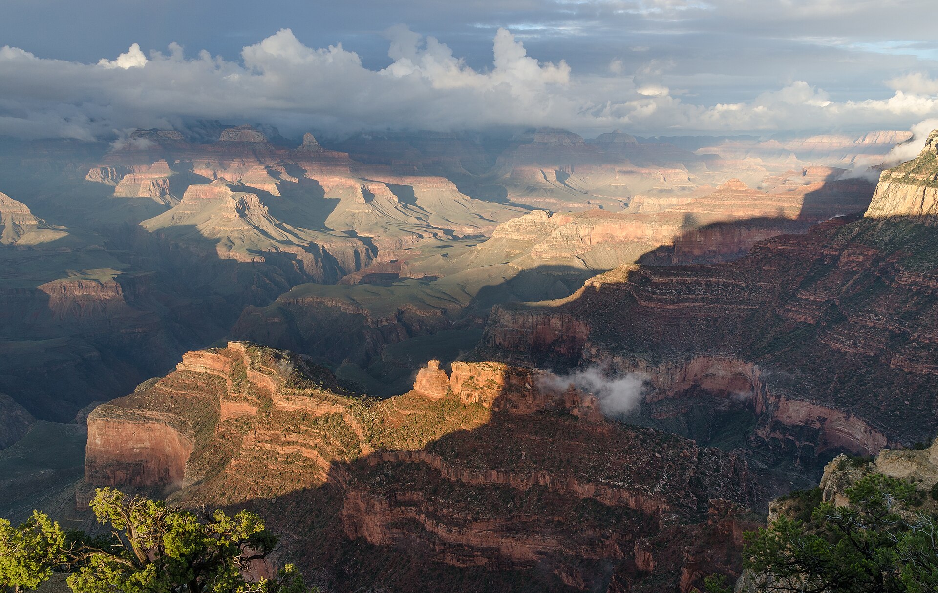 Evening light over the Grand Canyon from Powell Point on the South Rim