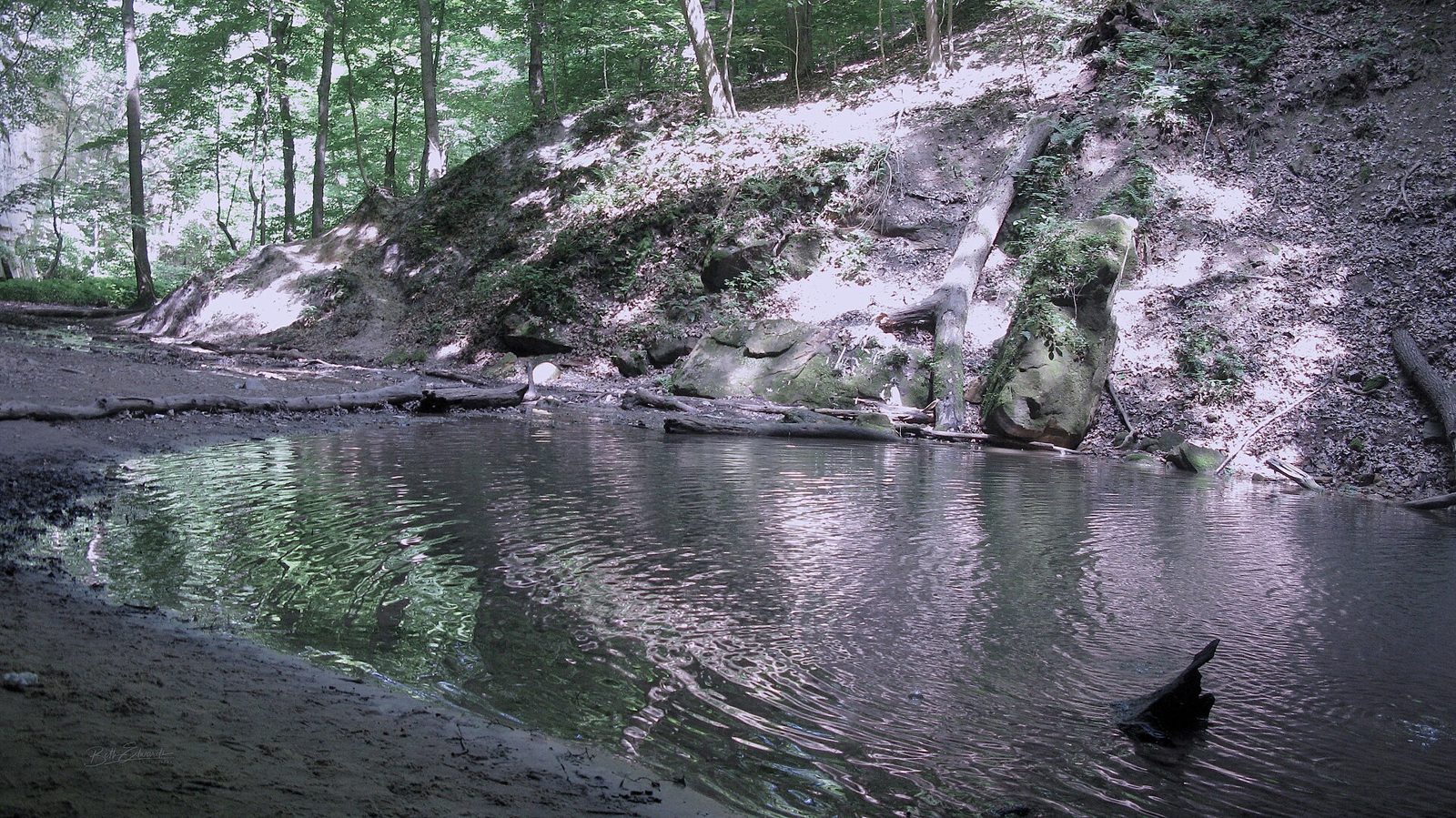 Pontiac Canyon in summer at Starved Rock State Park, Illinois