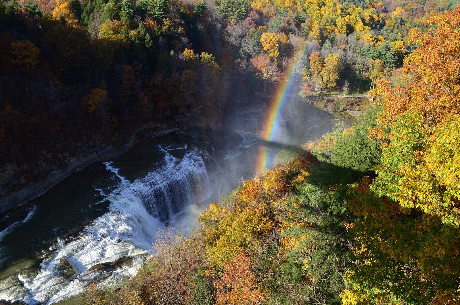 Autumn color along the Genesee River gorge at Letchworth State Park, New York