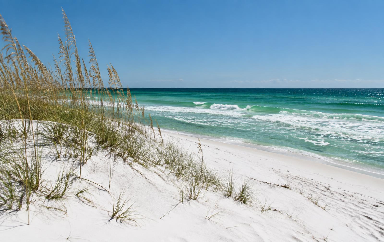 White sand dunes and sea oats with emerald Gulf water at Pensacola Beach, Florida on a clear morning