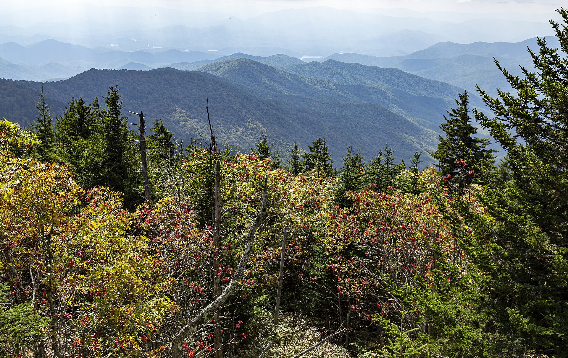Ridge-line view east from Clingmans Dome in Great Smoky Mountains National Park